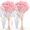 120 PCS Pink Dried Pampas Grass Decor, 17-inch Pompas Floral(Pink)